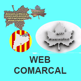 Web Comarcal